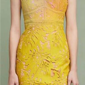 Anthropologie Maeve Crochet  Lace Gardenia Dress, Gorgeous!